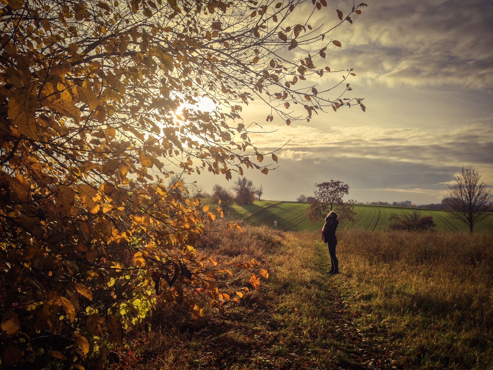 iPhone 5c back camera 4.12mm f/2.4 sample photo. Autumn, girl, leaves, sun photography