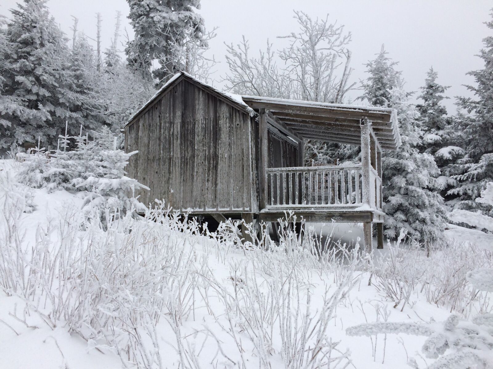 iPhone 5s back camera 4.15mm f/2.2 sample photo. Snow, winter, wood photography