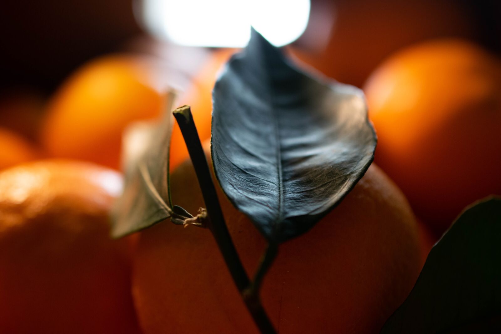 Nikon D3300 sample photo. Orange, fruit, eat photography
