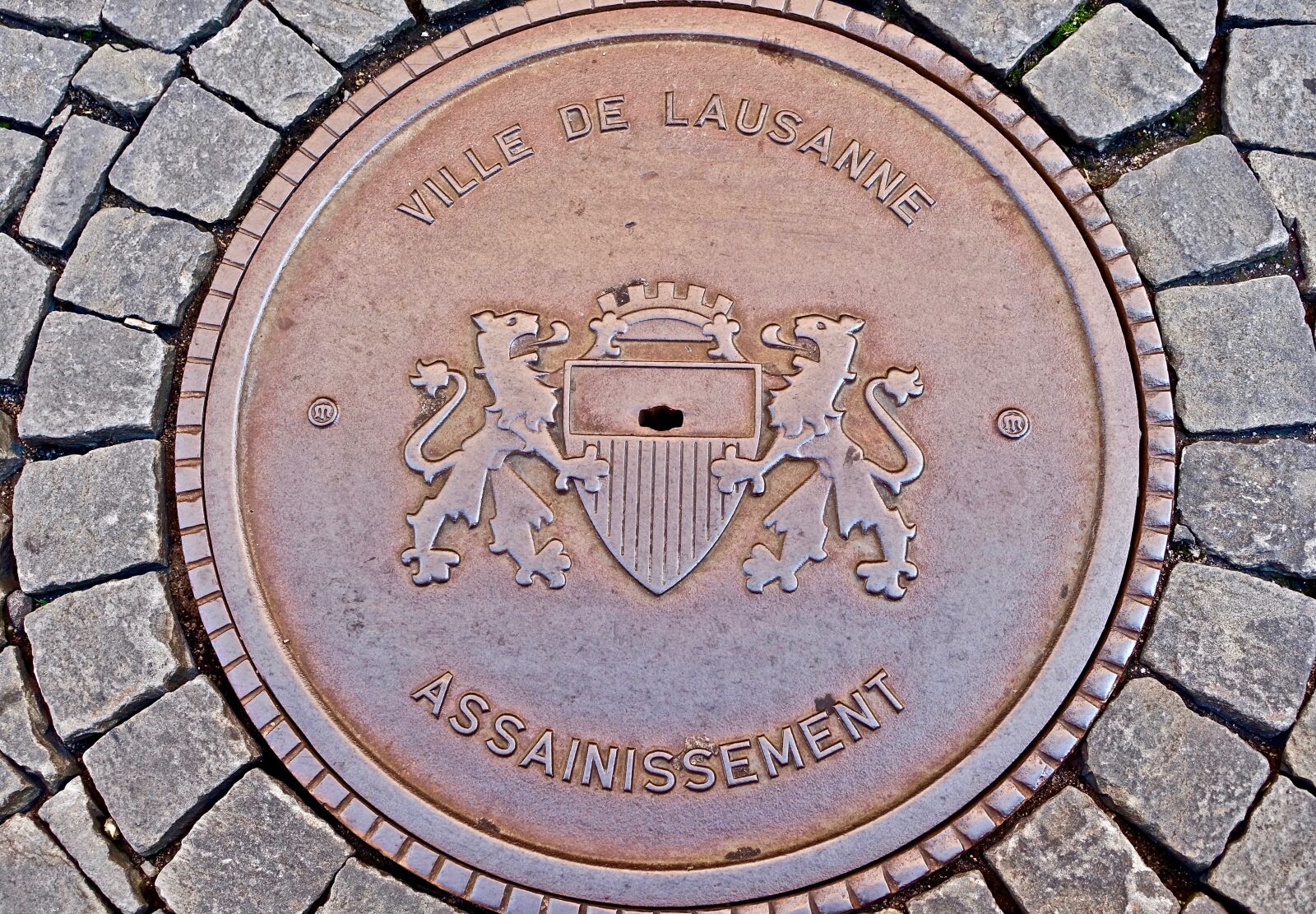 Sony Cyber-shot DSC-RX100 III sample photo. Manhole, circular, cover photography