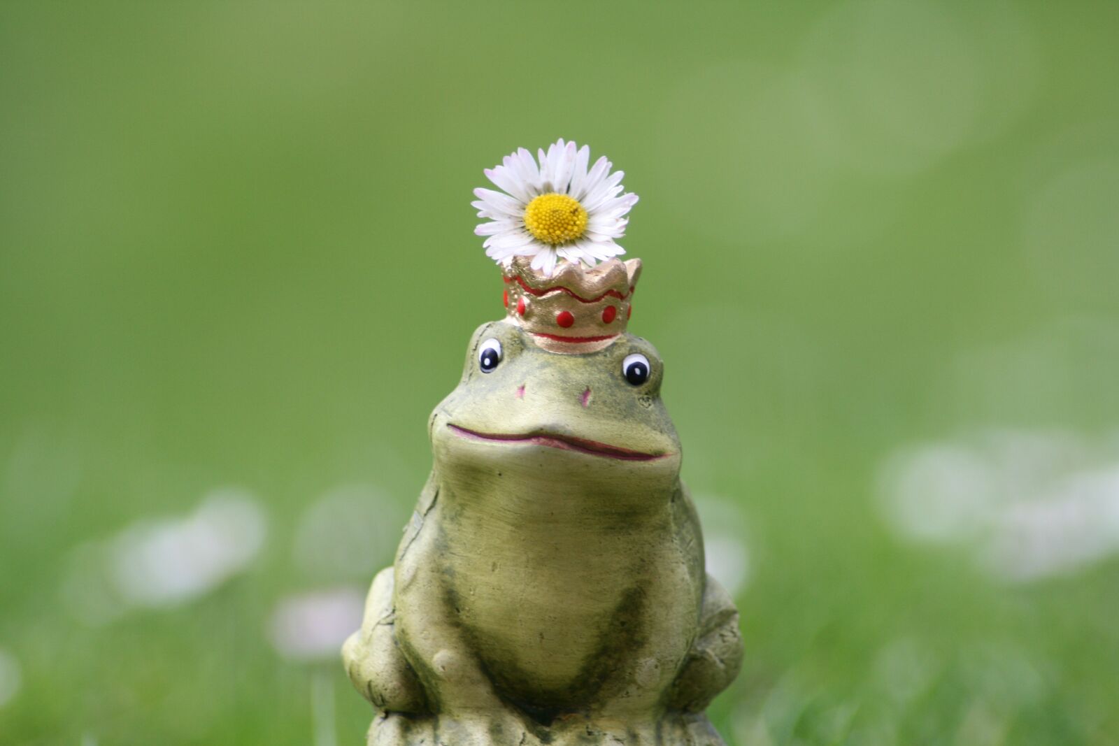 Canon EOS 400D (EOS Digital Rebel XTi / EOS Kiss Digital X) sample photo. Frog, frog prince, crown photography