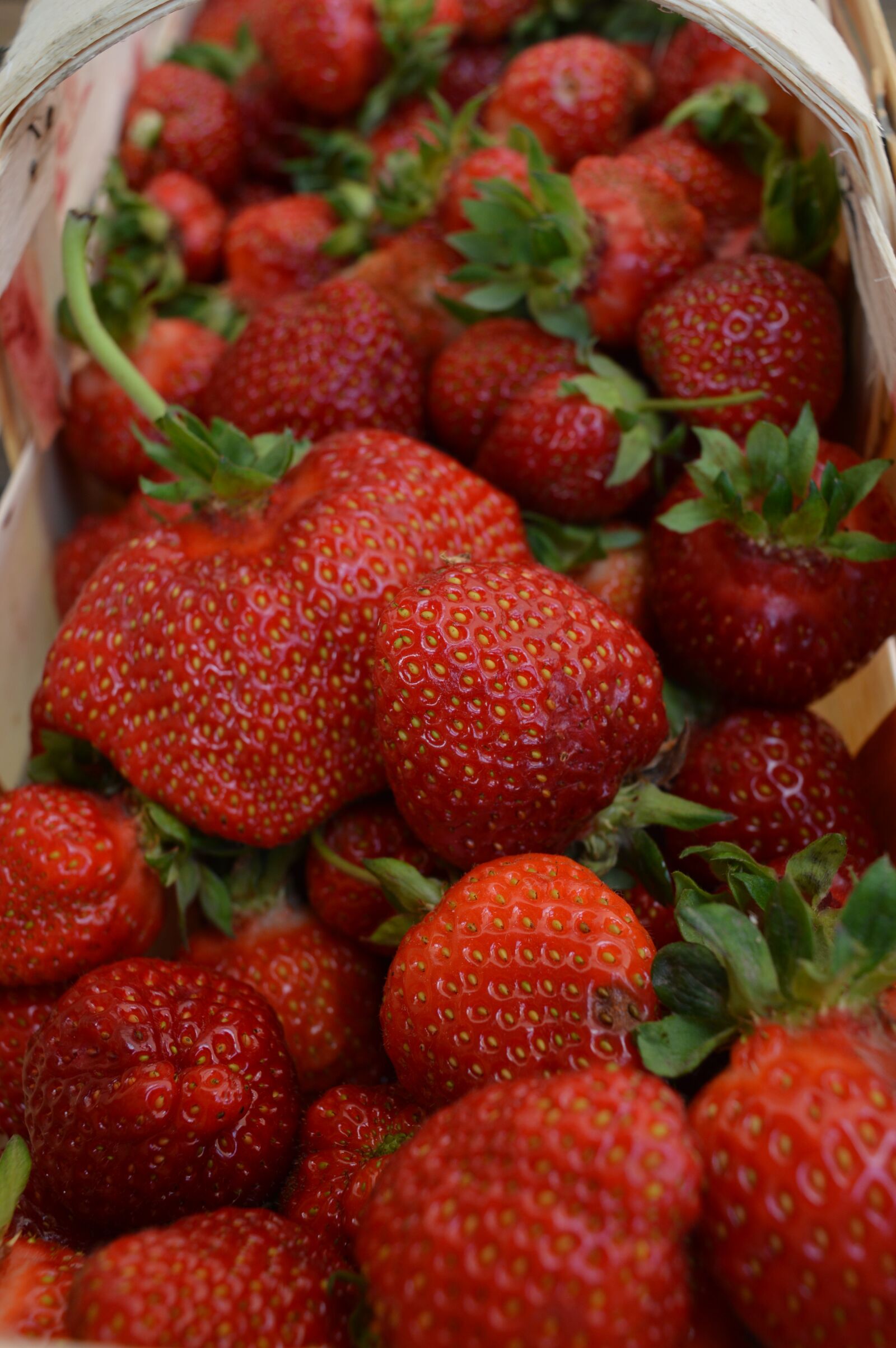 Nikon D3200 sample photo. Strawberries, fruit, foodstuffs photography