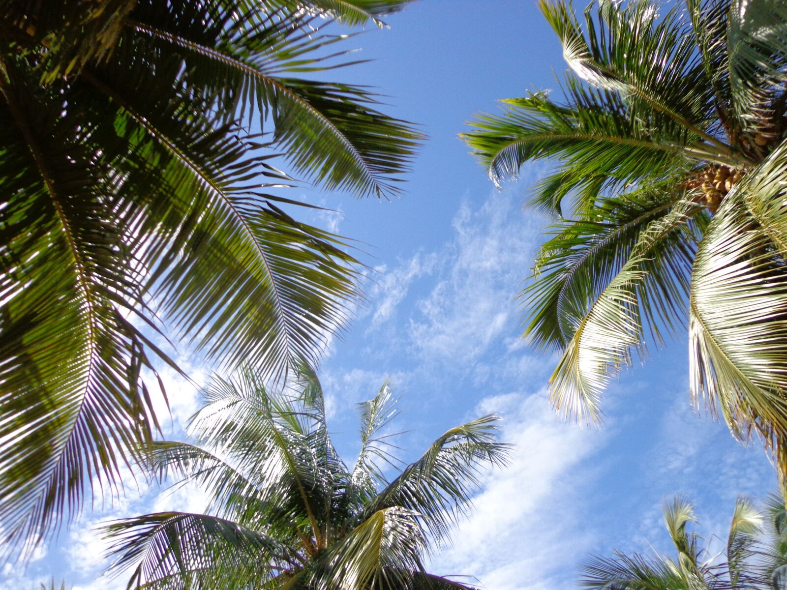 Sony DSC-W630 sample photo. Sky, beach, blue sky photography