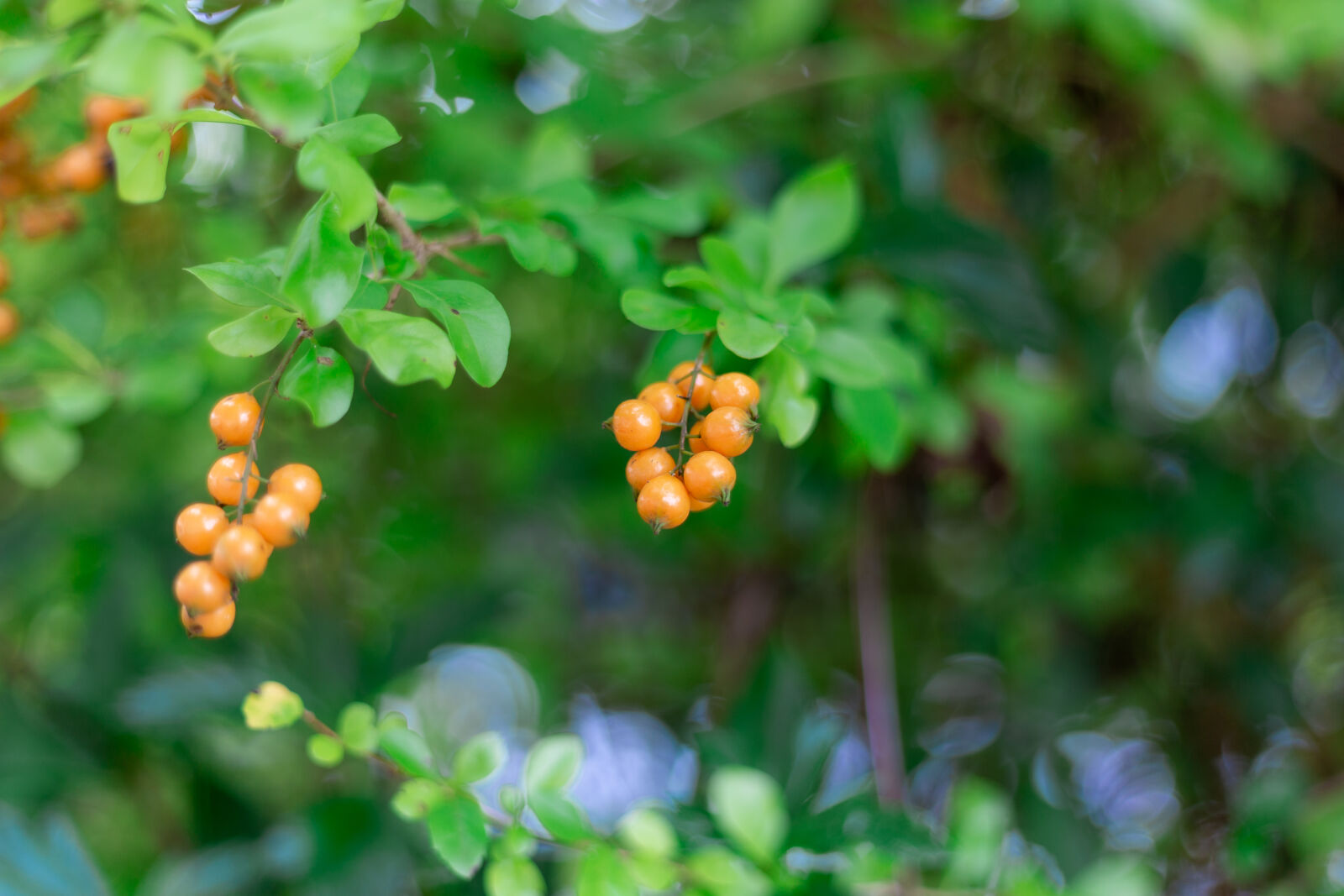 Canon EOS 6D sample photo