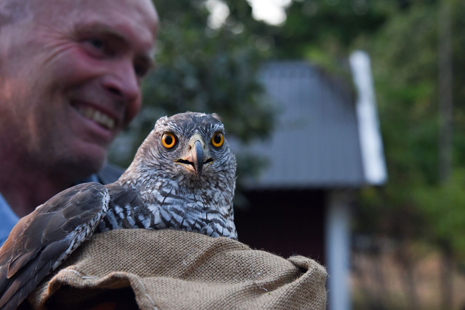 Nikon D750 sample photo. Bird, animals, animal life photography