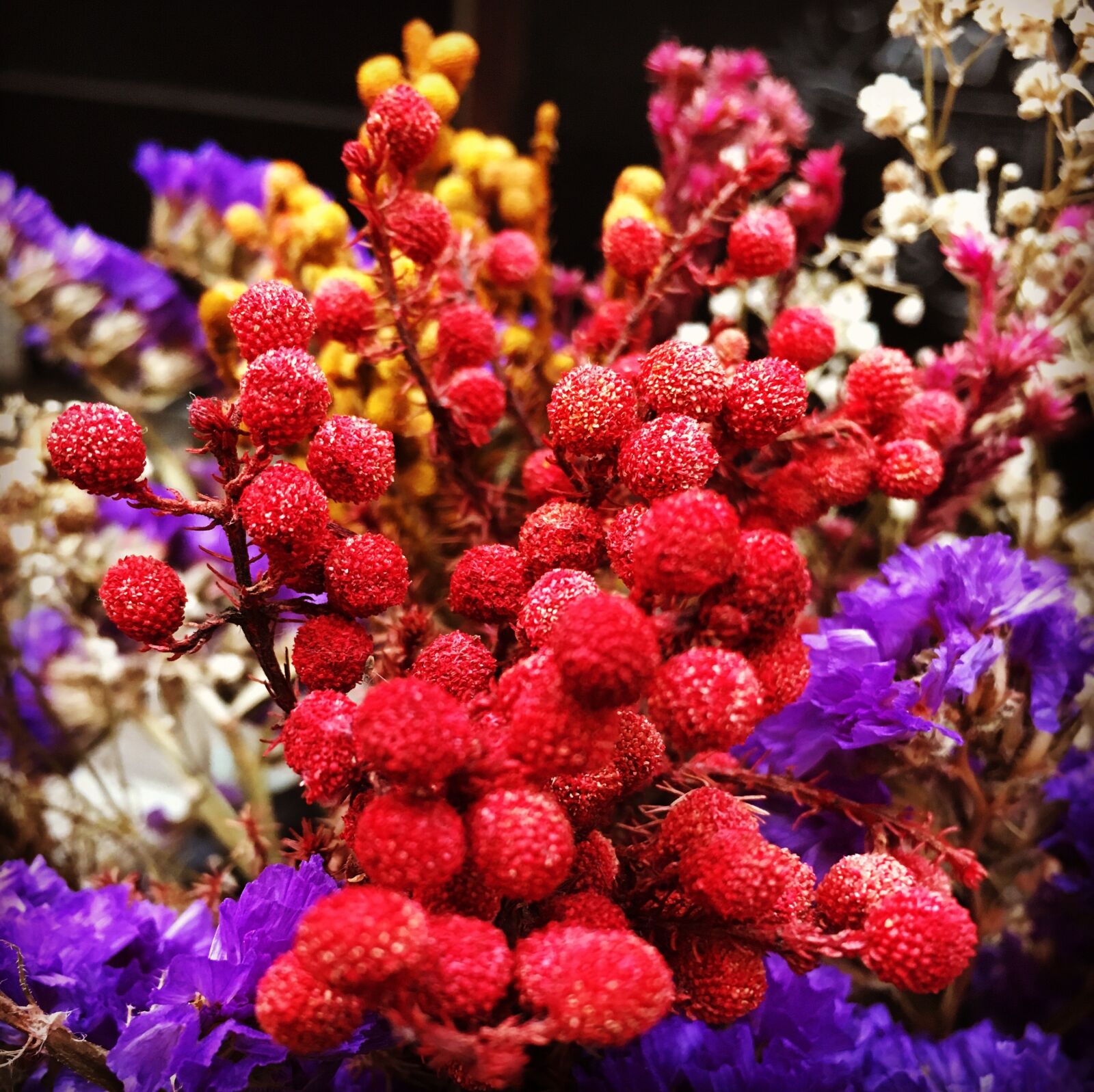 Apple iPhone 6s sample photo. Flower, colours, dr photography