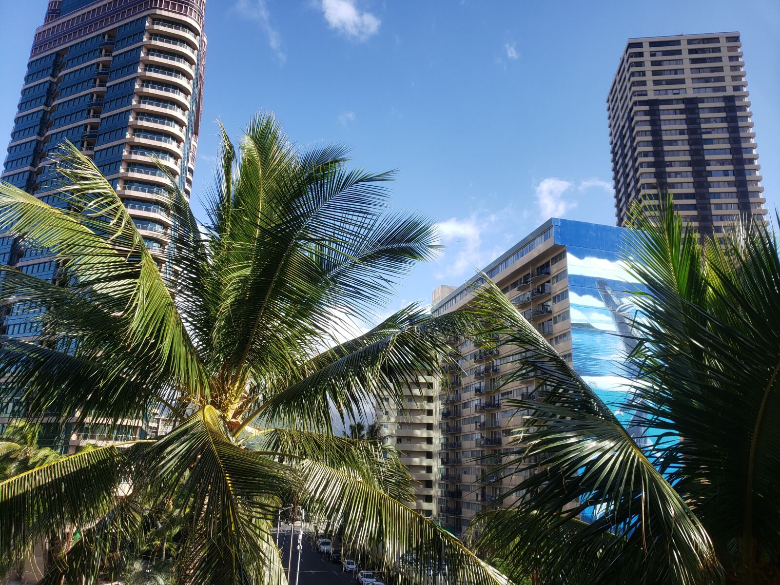 Samsung Galaxy S9+ sample photo. Hawaii, oahu, palm photography