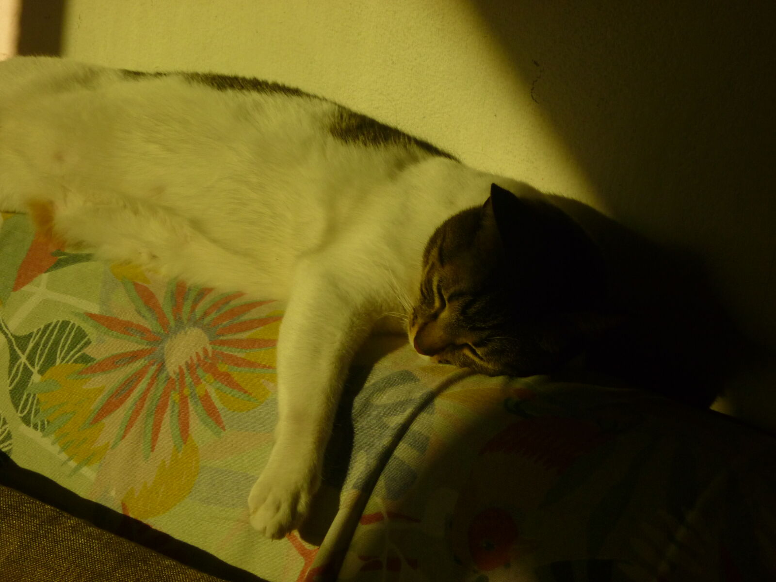 Panasonic DMC-FS12 sample photo