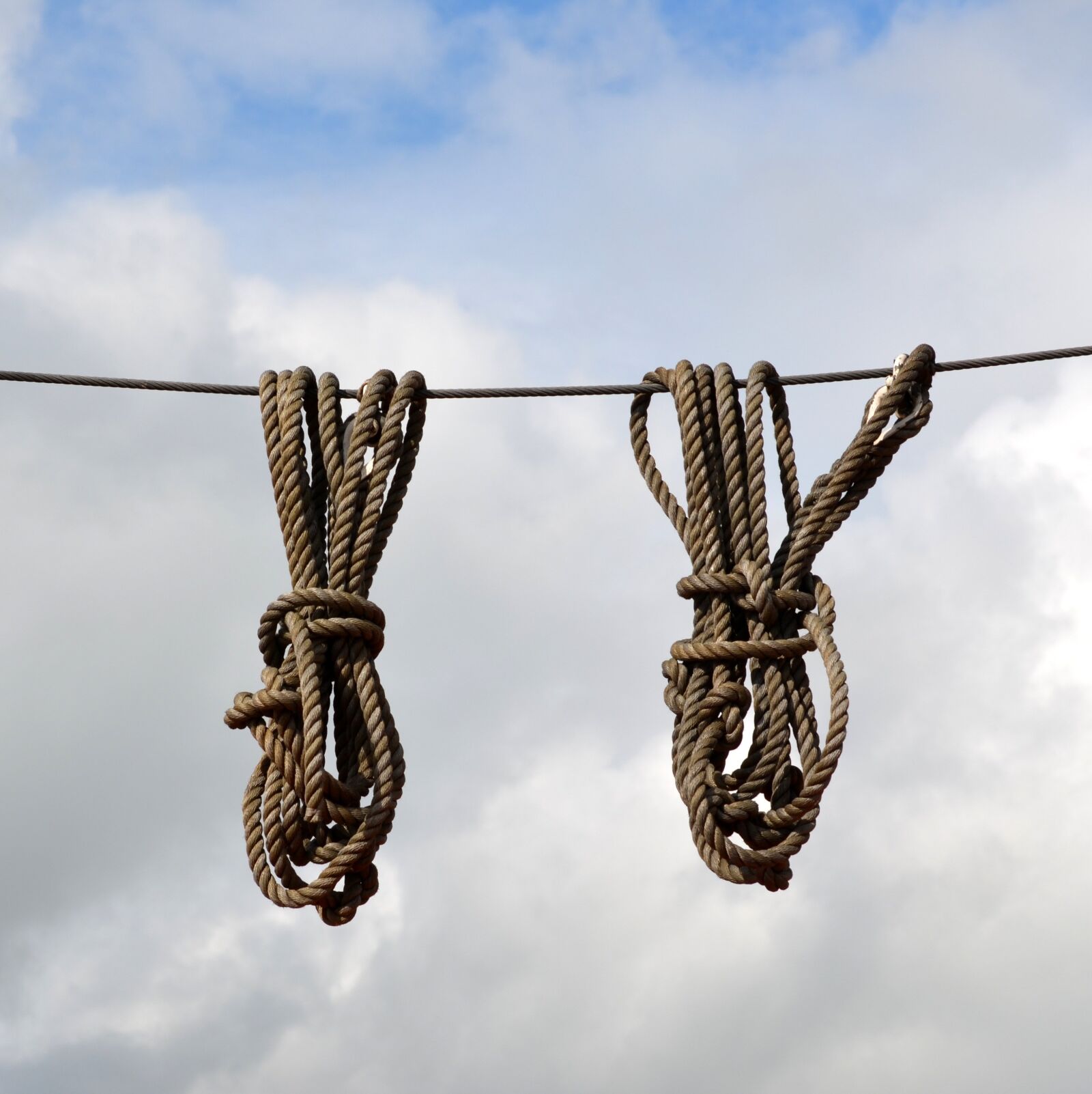 Nikon D5100 sample photo. Dew, knot, rope photography