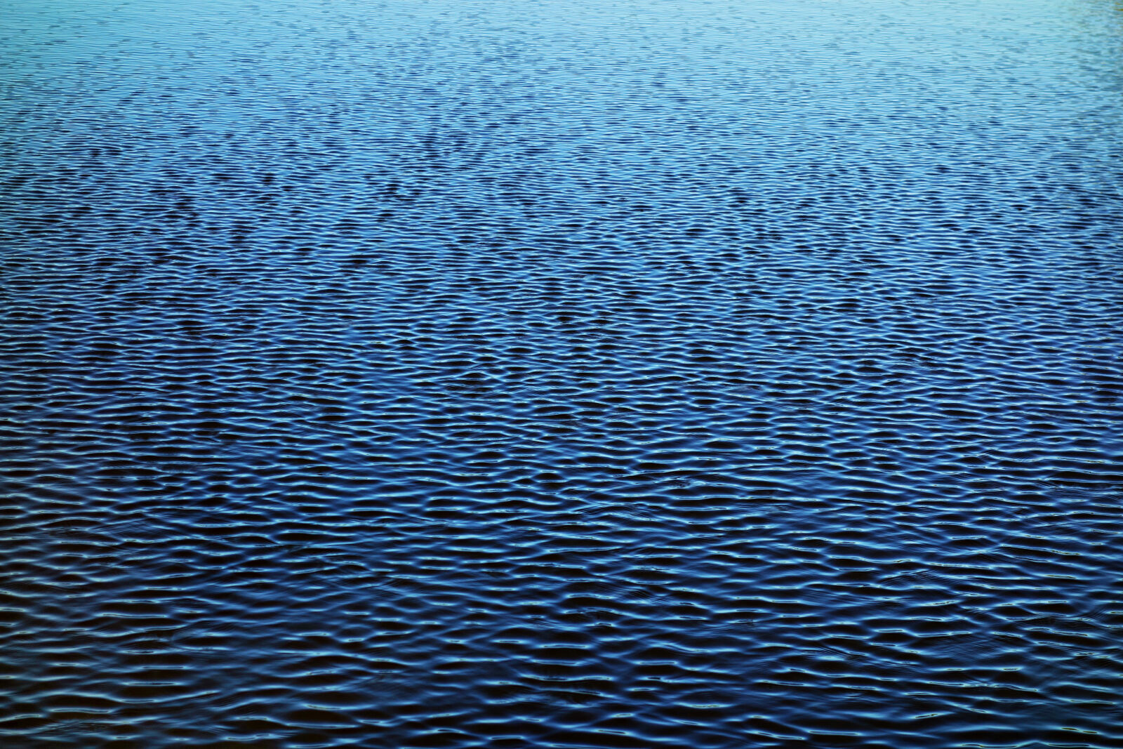 Sony Cyber-shot DSC-RX100 sample photo. Element, natural, nature, ripple photography
