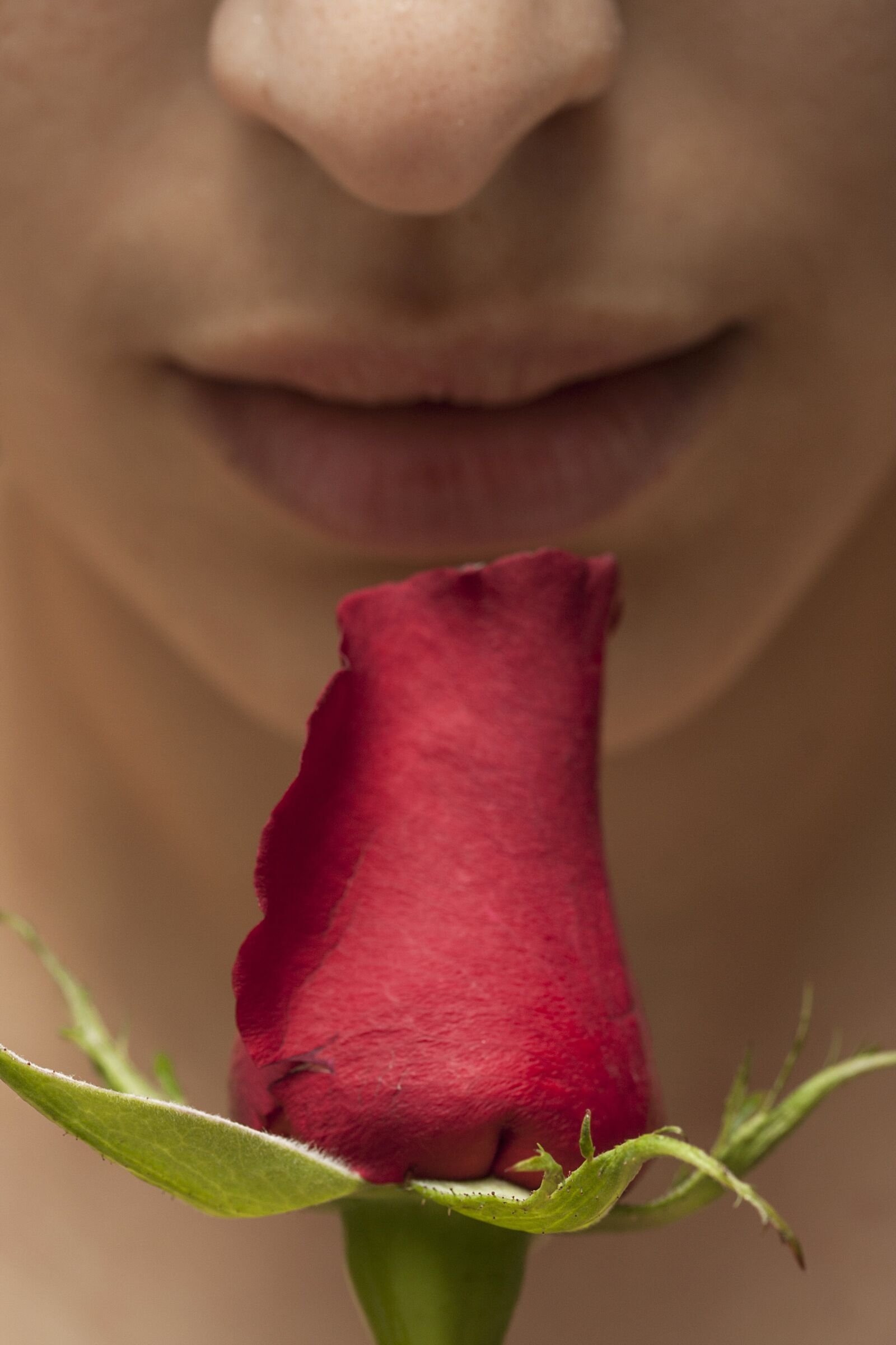 Canon EOS 40D sample photo. Romance, flower, macro photography