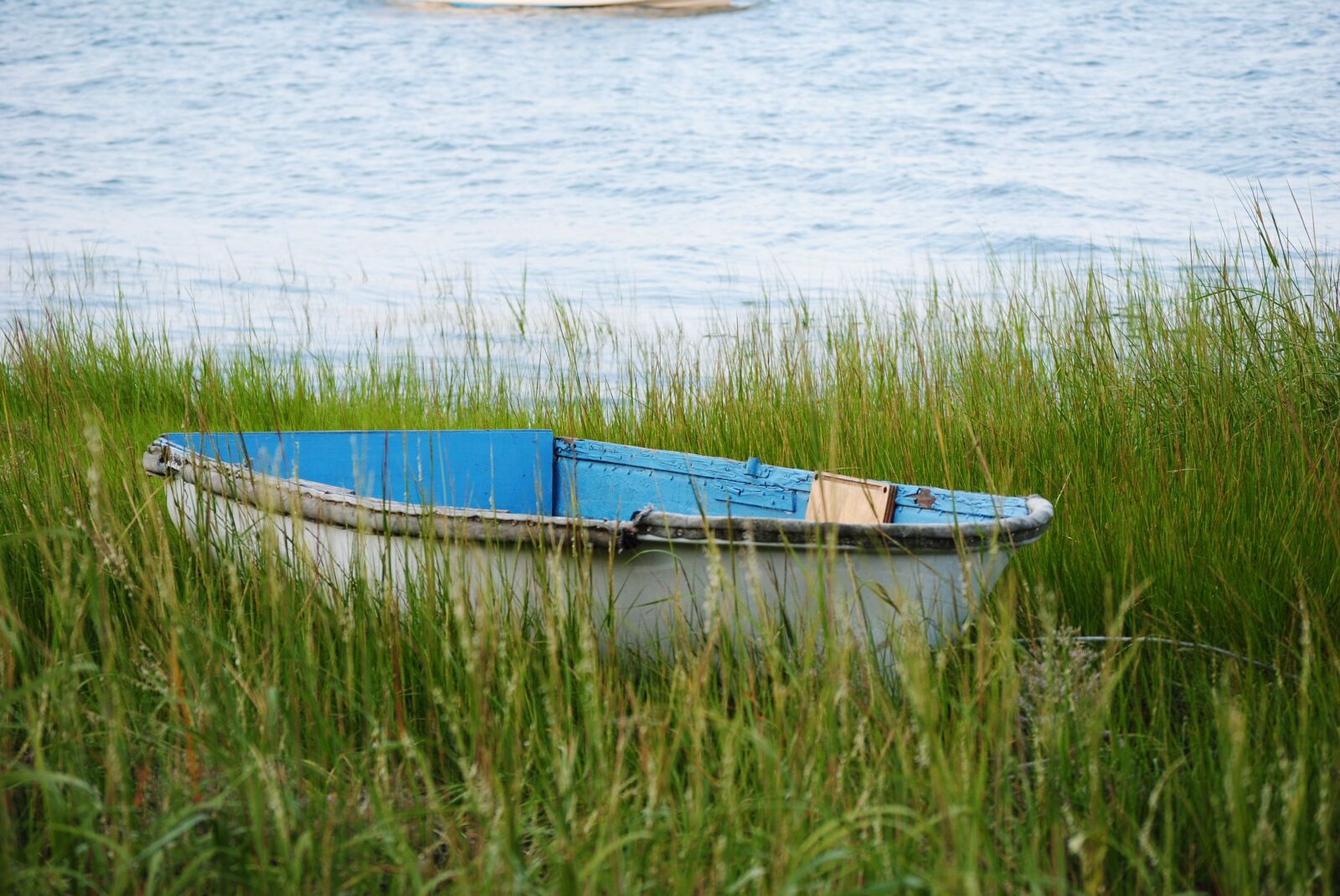 Nikon D3000 sample photo. Rowboat, marsh, duxbury bay photography