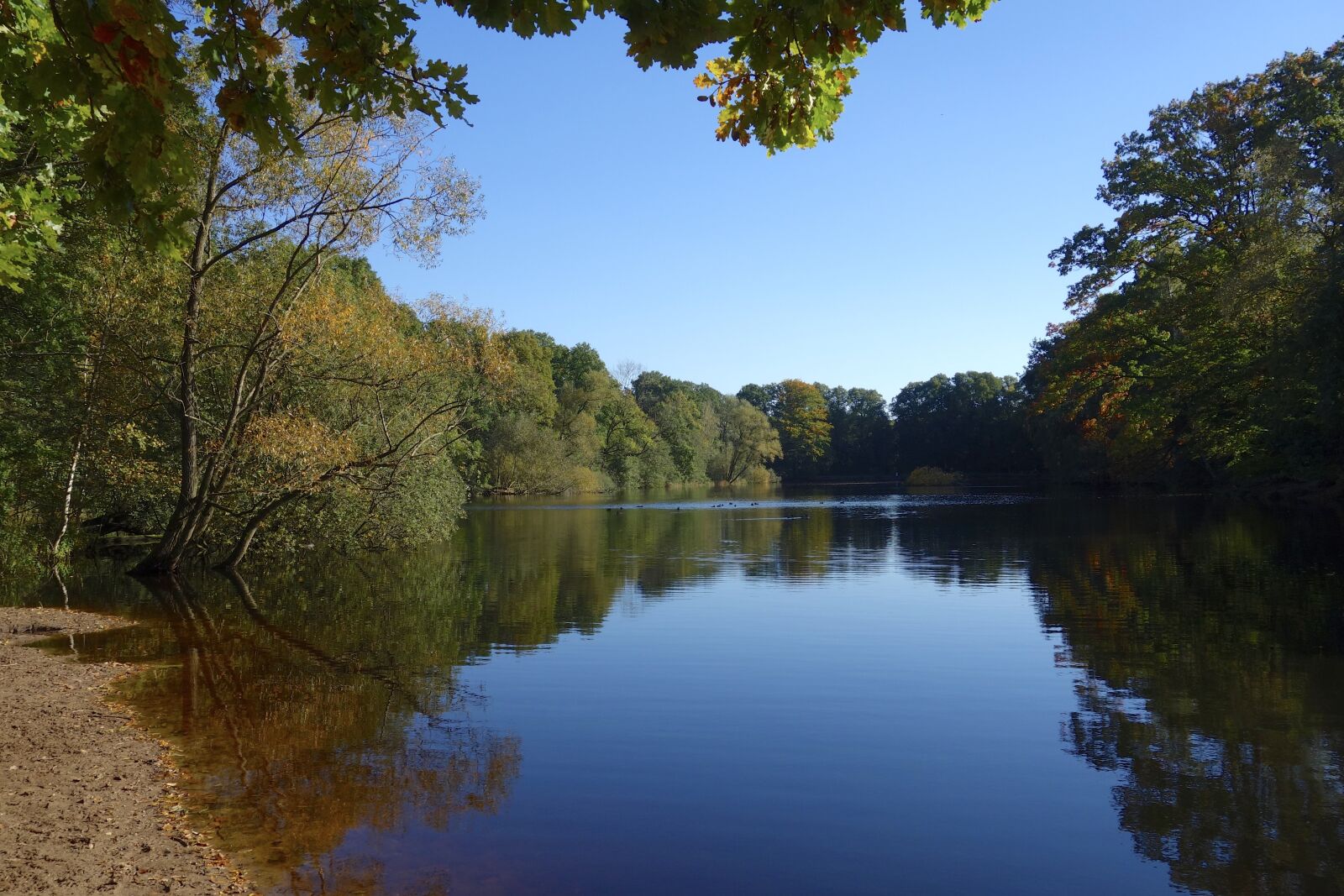 Sony Cyber-shot DSC-RX100 sample photo. Lake, pond, nature photography