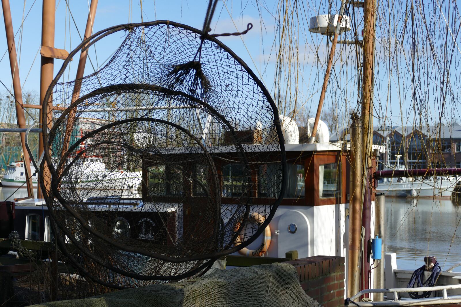 Panasonic Lumix DMC-FZ1000 sample photo. Just, fish, fisheries photography