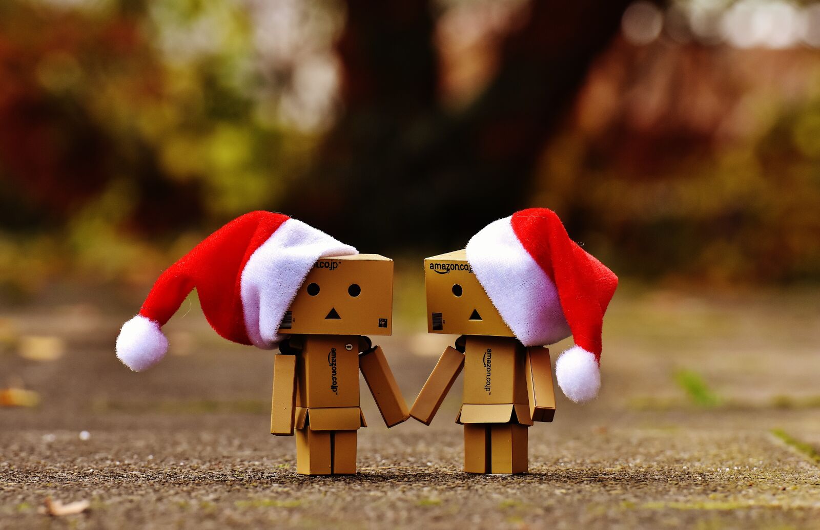 Nikon D7200 sample photo. Danbo, christmas, figure photography