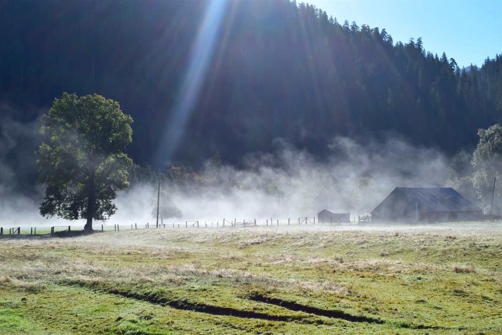 Nikon D3300 sample photo. Mountain, sunlight, fog photography