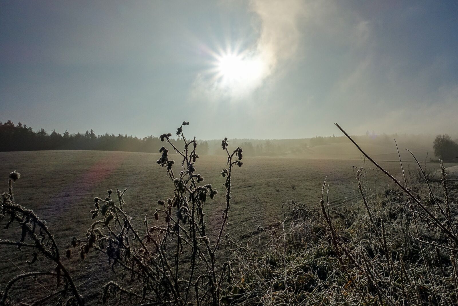 Sony Cyber-shot DSC-RX100 III sample photo. Sun, winter, landscape photography