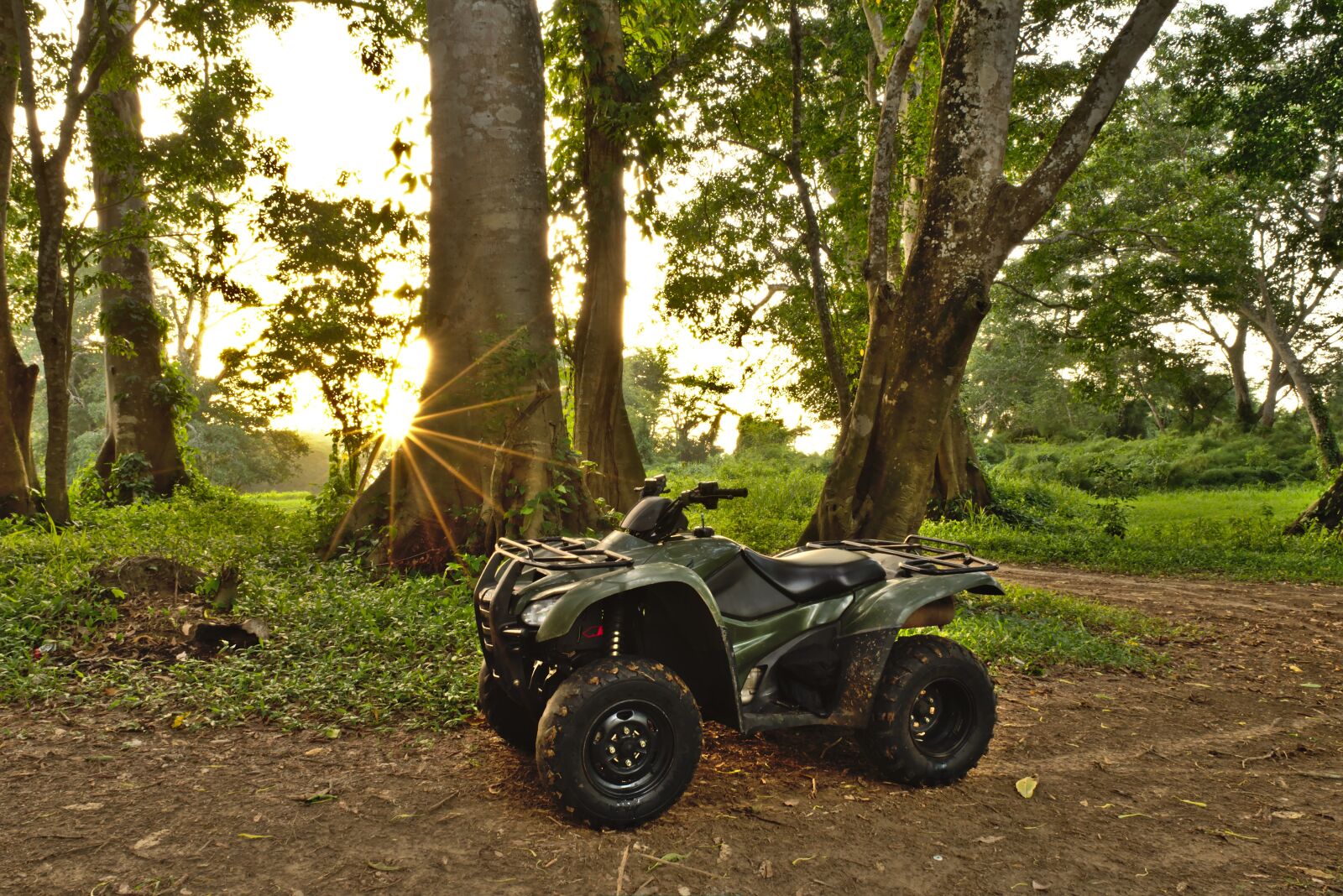 Nikon D7200 sample photo. Woods, atv, forest photography