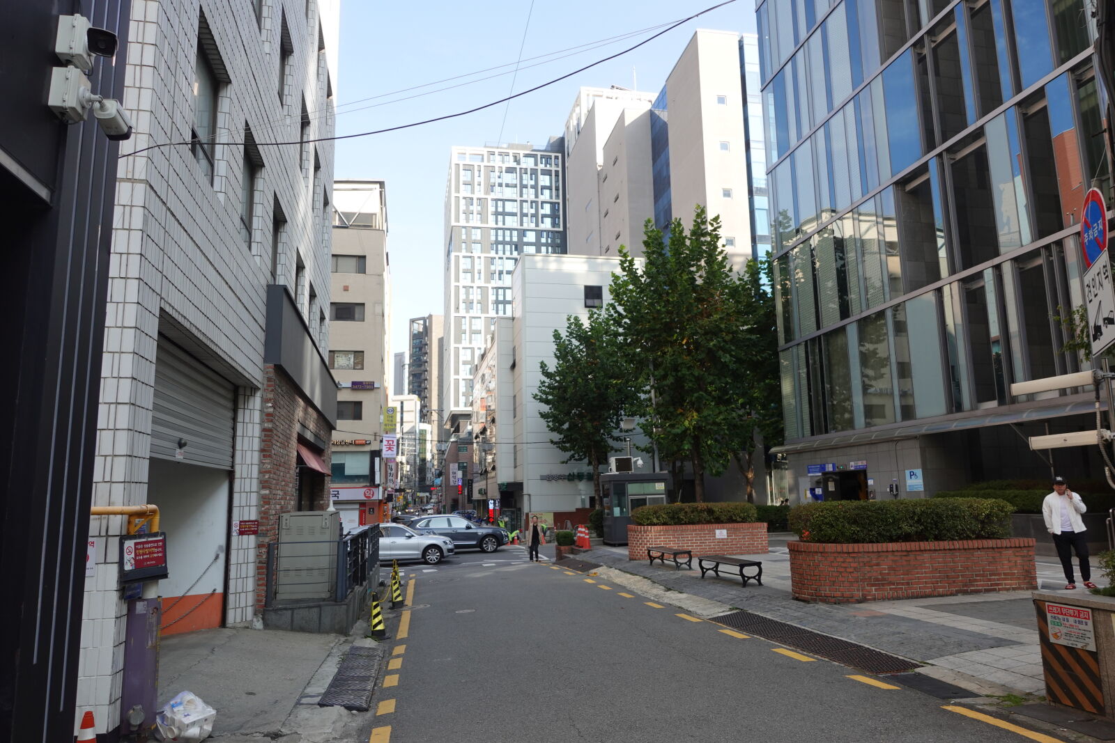 Sony ZV-1 sample photo