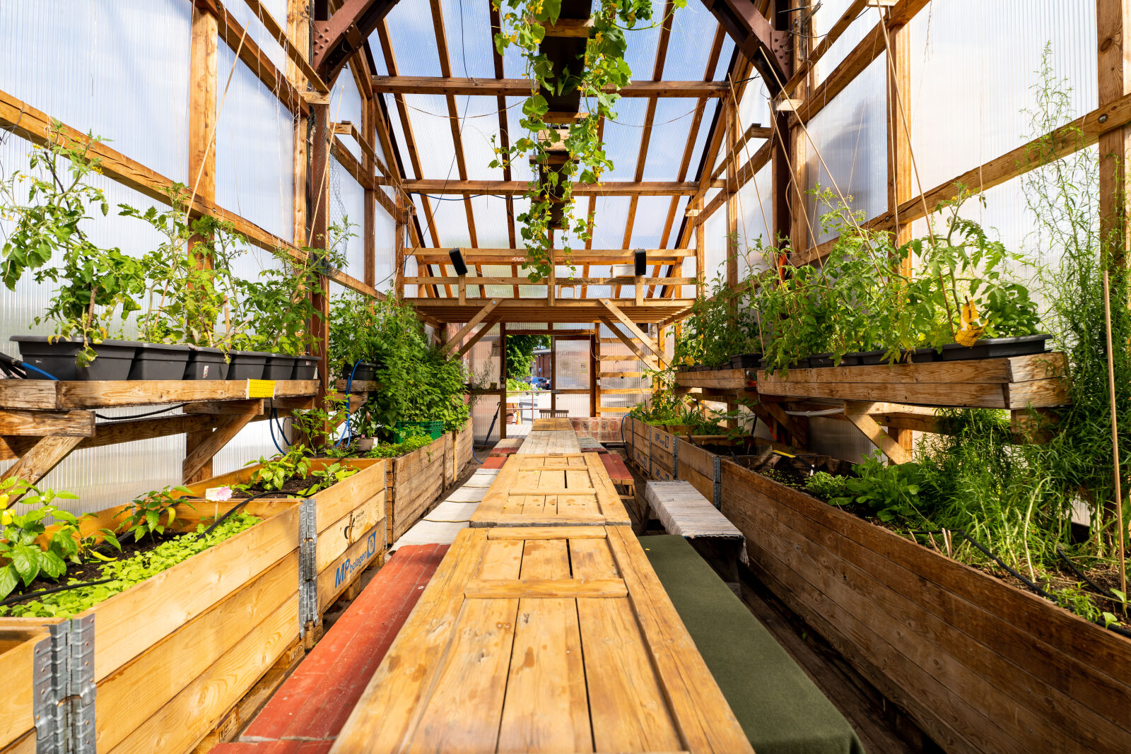 Sony a7R IV + Sigma 16-28mm F2.8 DG DN | C sample photo. Greenhouse day photography
