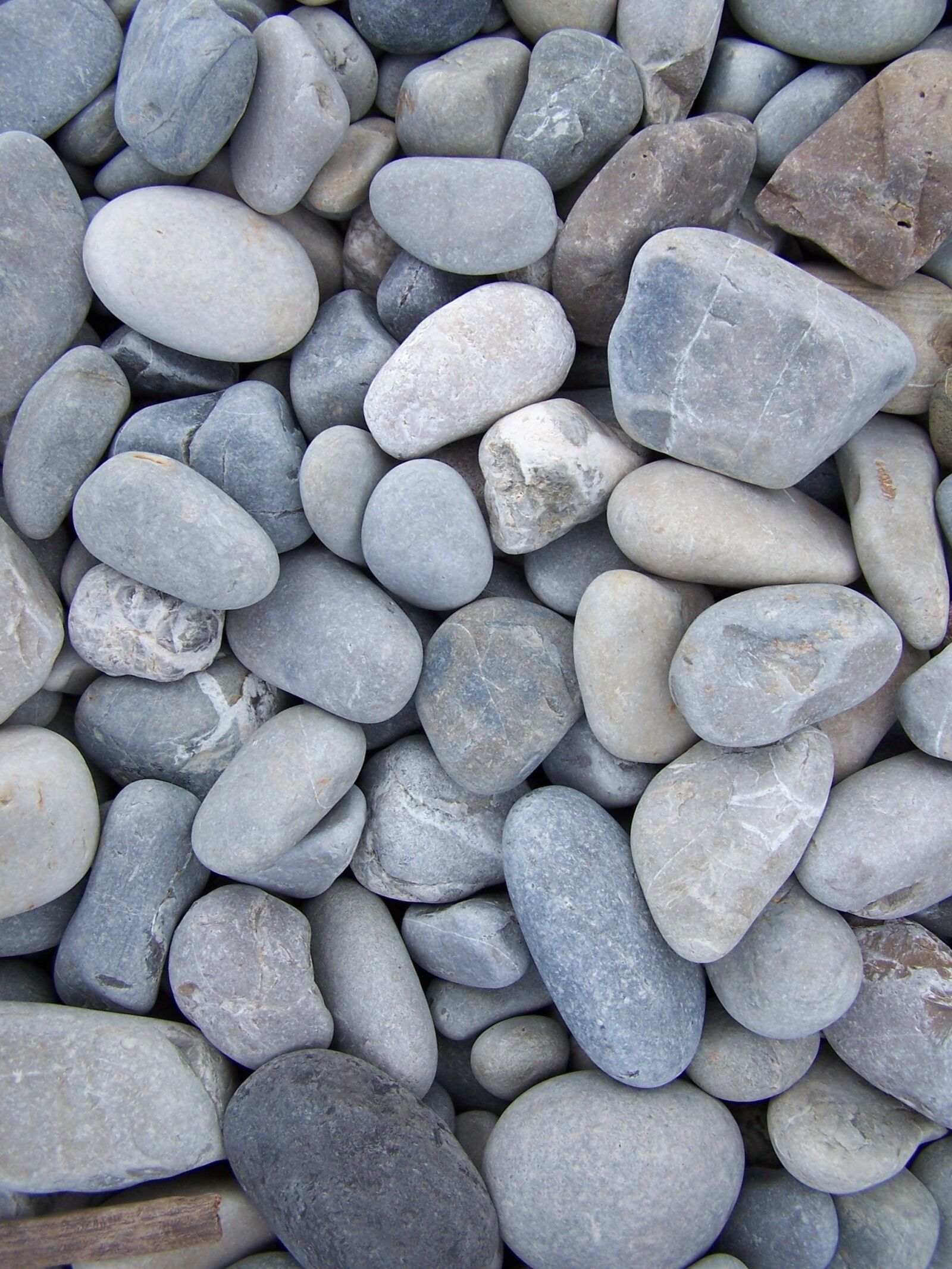 Kodak DX7590 ZOOM DIGITAL CAMERA sample photo. Pebbles, beach, pebble beach photography