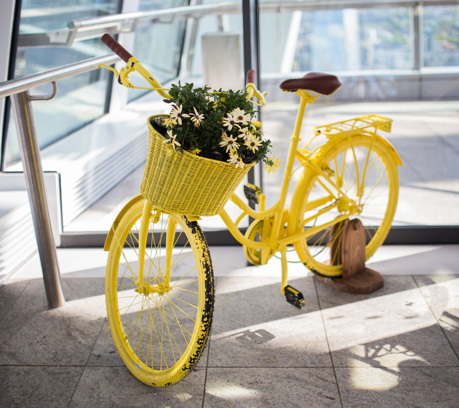 Canon EOS 6D + Sigma 35mm F1.4 DG HSM Art sample photo. Art, design, exposition, flowers photography