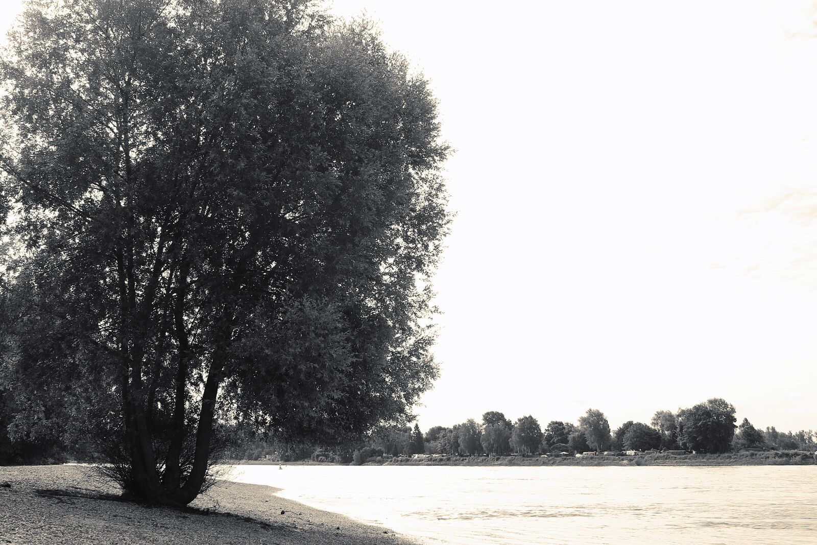 Canon EOS 70D sample photo. Tree, river, nature photography