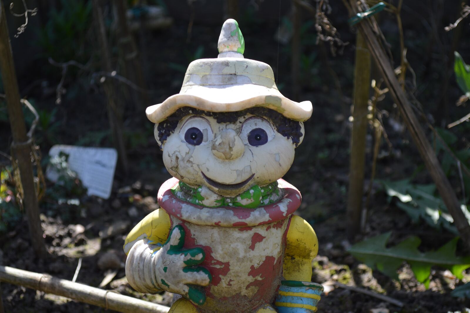 Nikon D3200 sample photo. Nature, wood, flowerpot photography