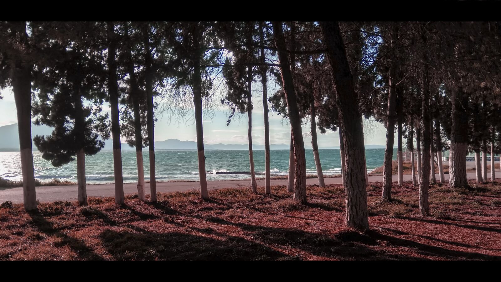 Xiaomi Redmi 3S sample photo. Sea, trees, landscape photography