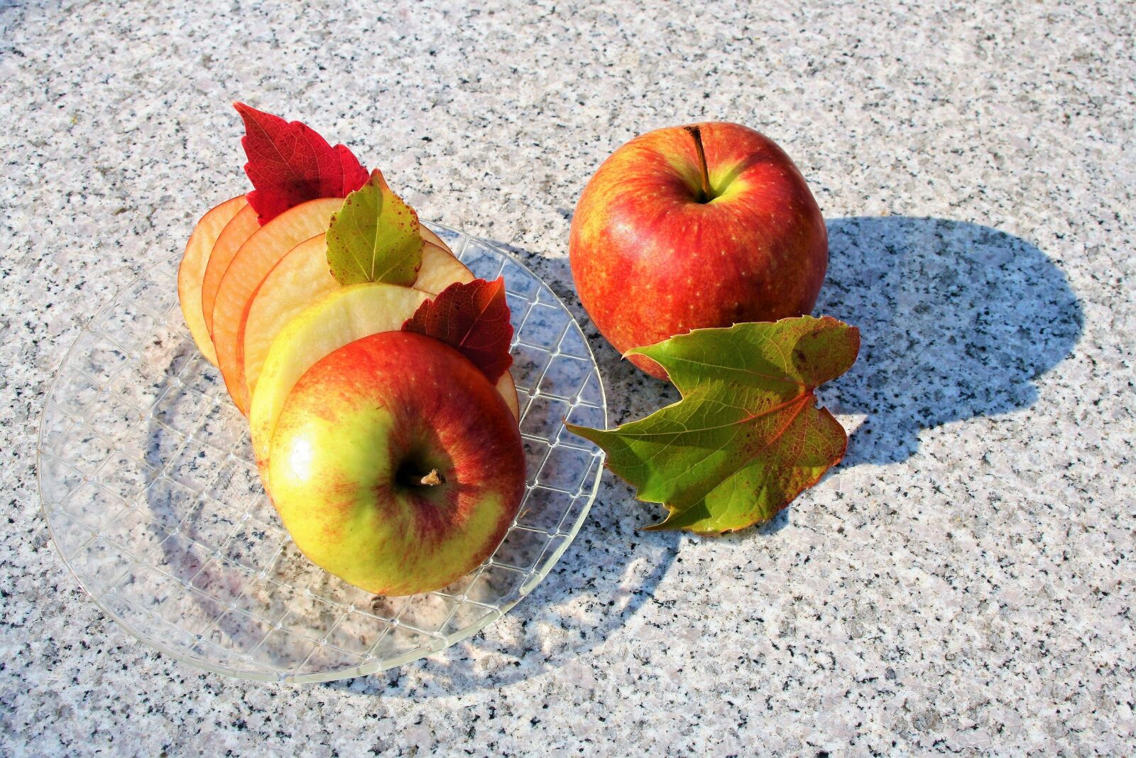 Canon EOS 400D (EOS Digital Rebel XTi / EOS Kiss Digital X) sample photo. Apple, autumn, fit photography