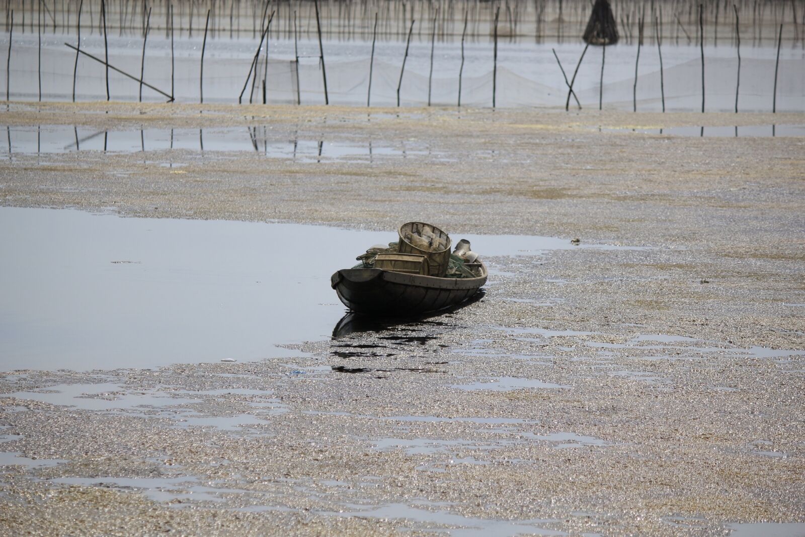 Canon EOS 550D (EOS Rebel T2i / EOS Kiss X4) sample photo. Sharp, vietnam, the boat photography