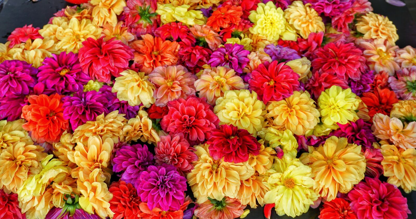 Sony a6300 sample photo. Indian, marketplace, flower photography