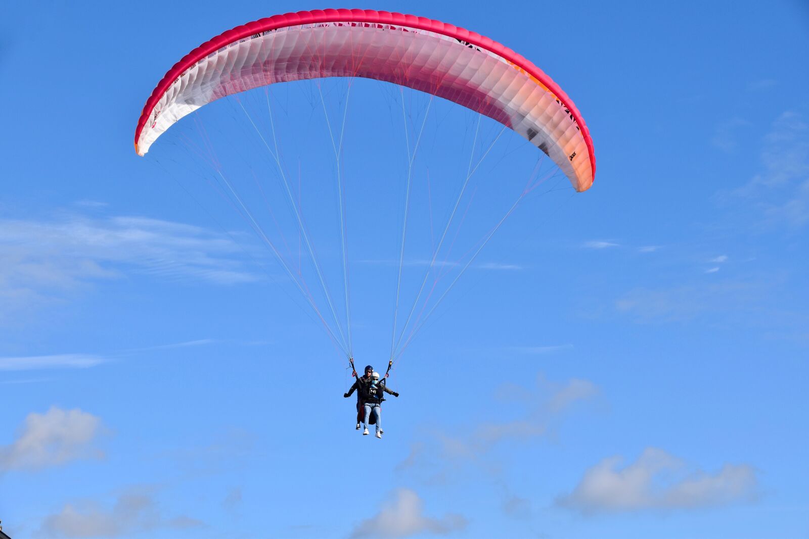 Nikon D5600 sample photo. Paragliding, tandem paragliding, paragliders photography