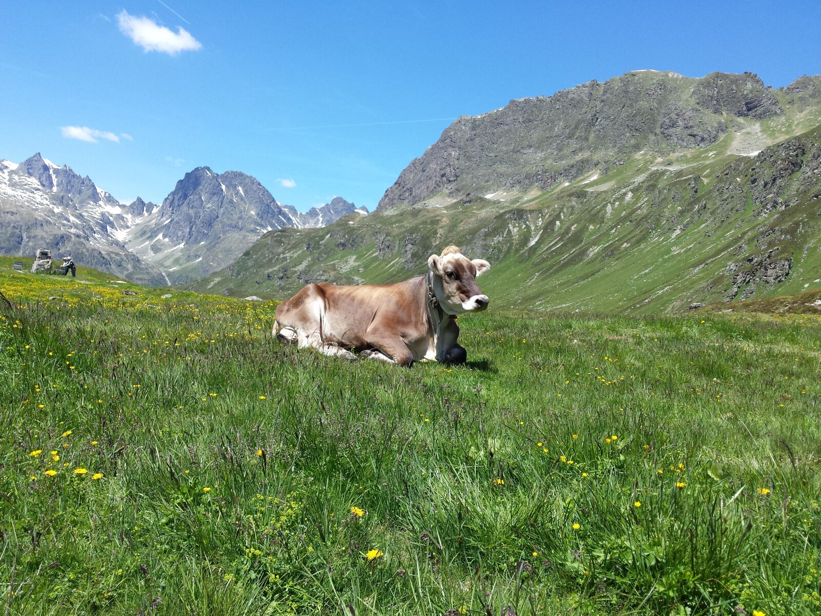 Samsung Galaxy S4 sample photo. Mountains, alphabet, mountain cow photography