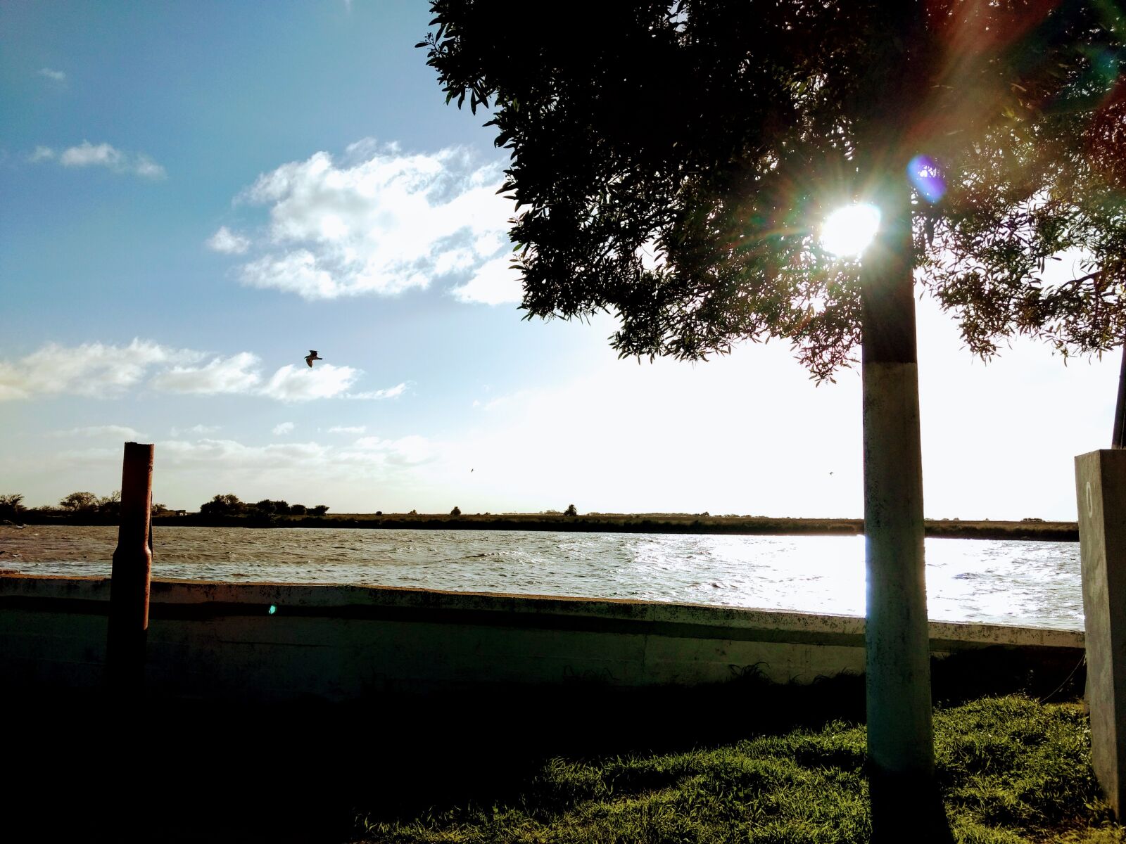 Motorola Moto G (4) sample photo. Landscape, nature, to photography