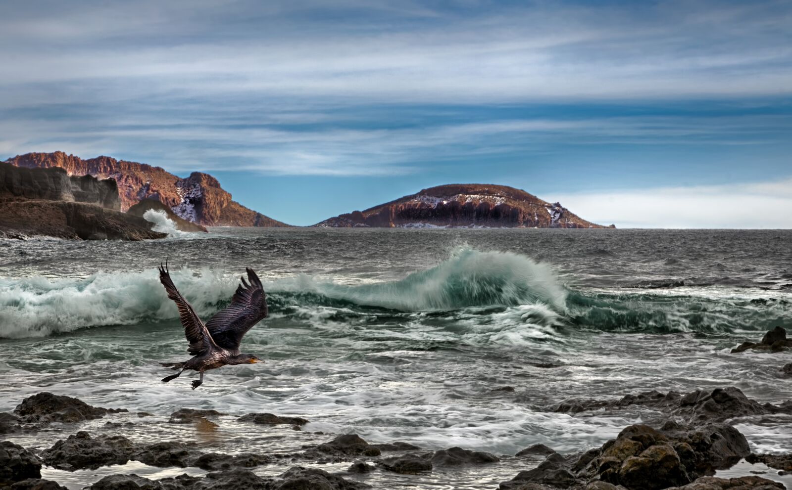 Canon EOS 5D Mark III sample photo. Sea, ocean, birds photography