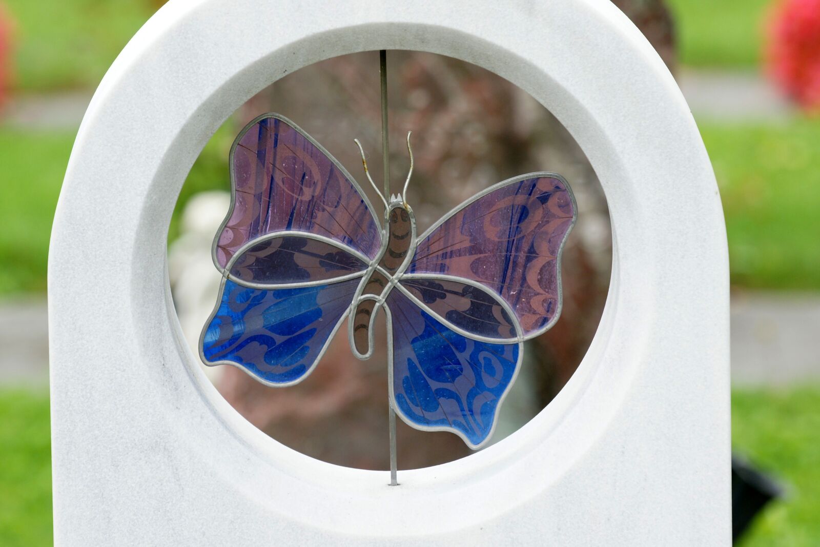 Sony Alpha DSLR-A700 sample photo. Butterfly, glass, windowing photography