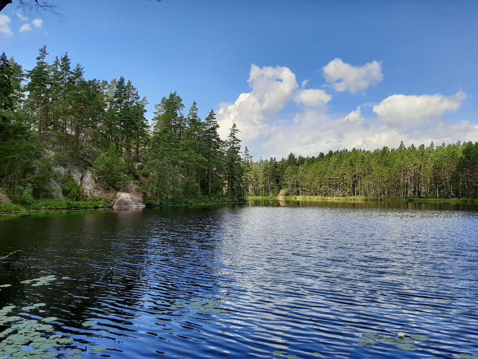 Samsung Galaxy A50 sample photo. Schweden, natur, nature photography