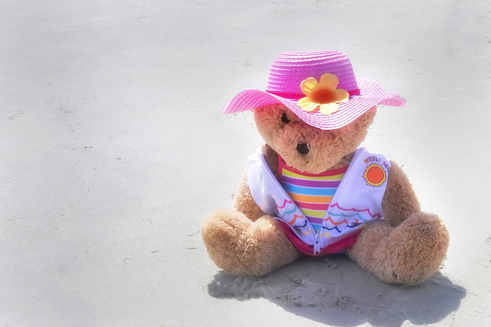 Nikon Coolpix P900 sample photo. Bear, teddy, teddy bear photography
