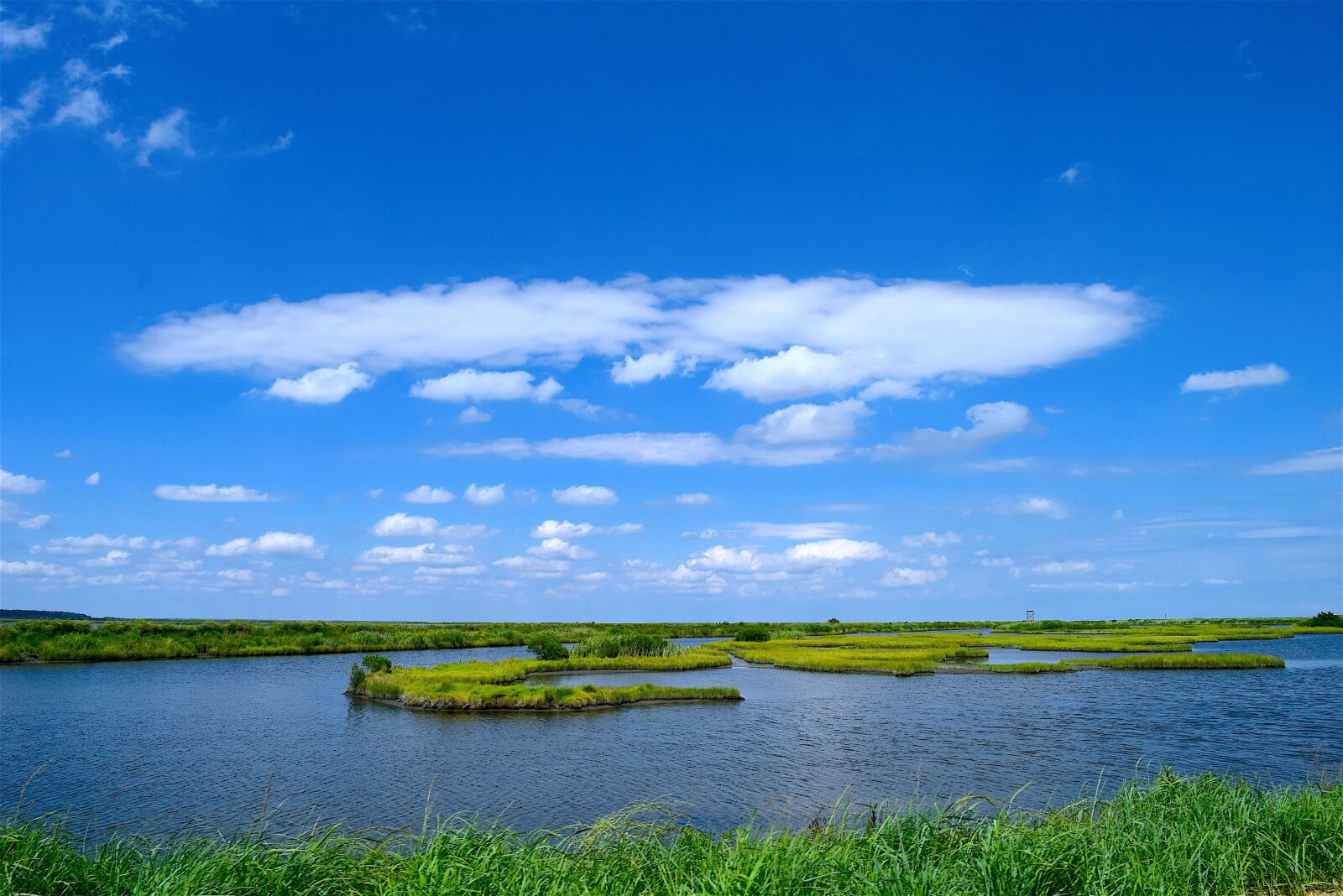 Nikon D3300 sample photo. Marsh, water, sky photography