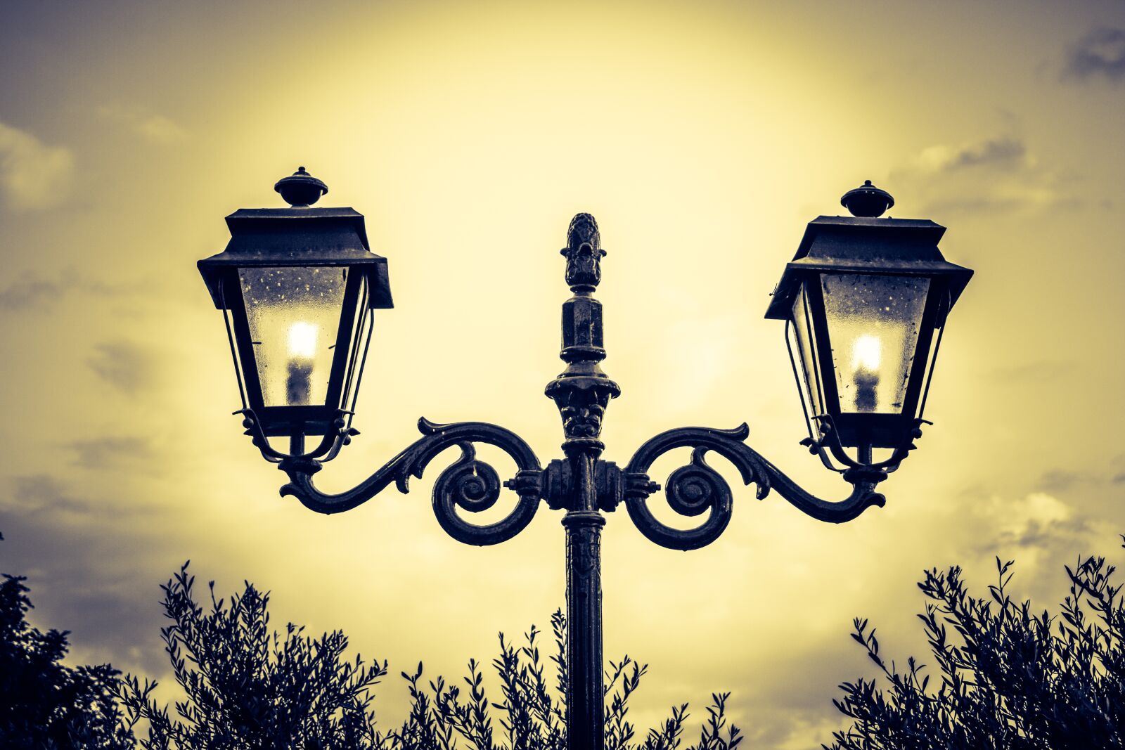 Nikon D3300 sample photo. Lamp, lantern, park photography