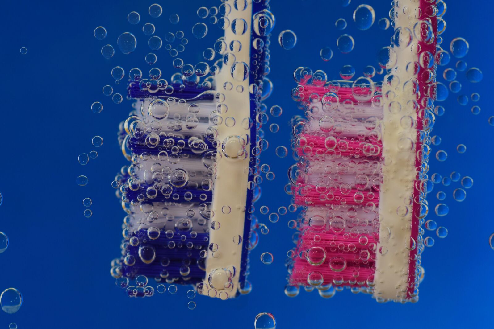 Nikon D3300 sample photo. Toothbrush, blue, clean photography