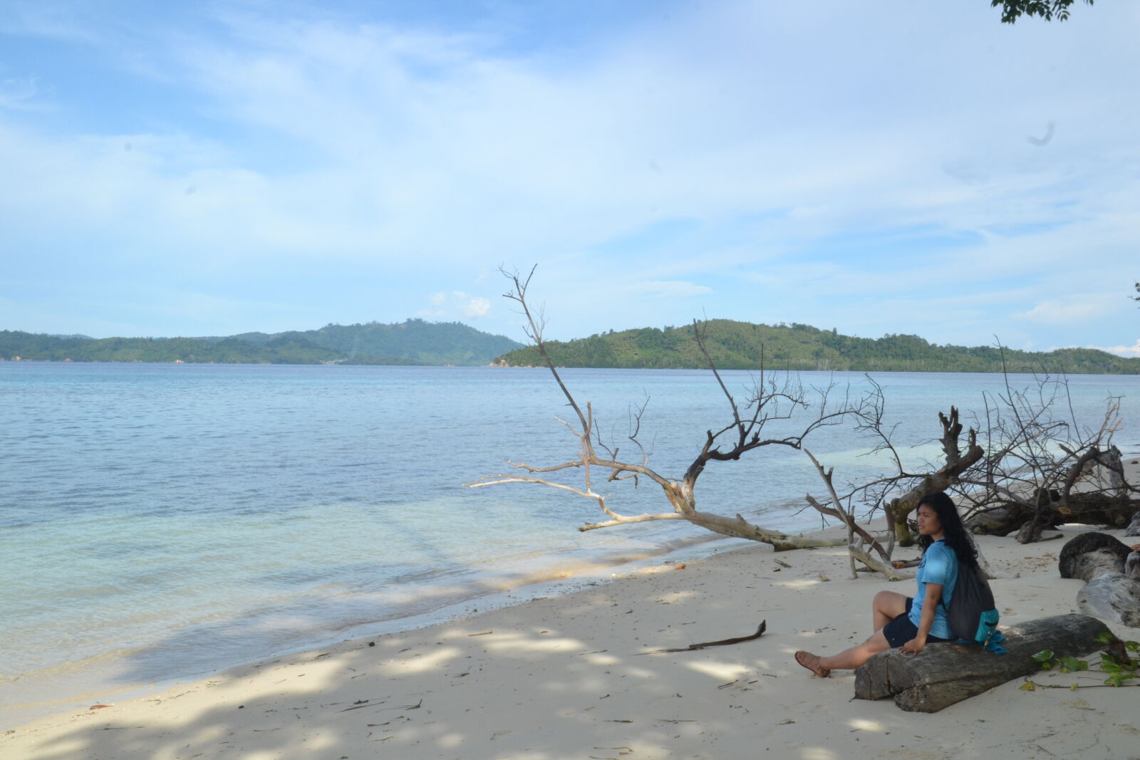 Nikon D3100 sample photo