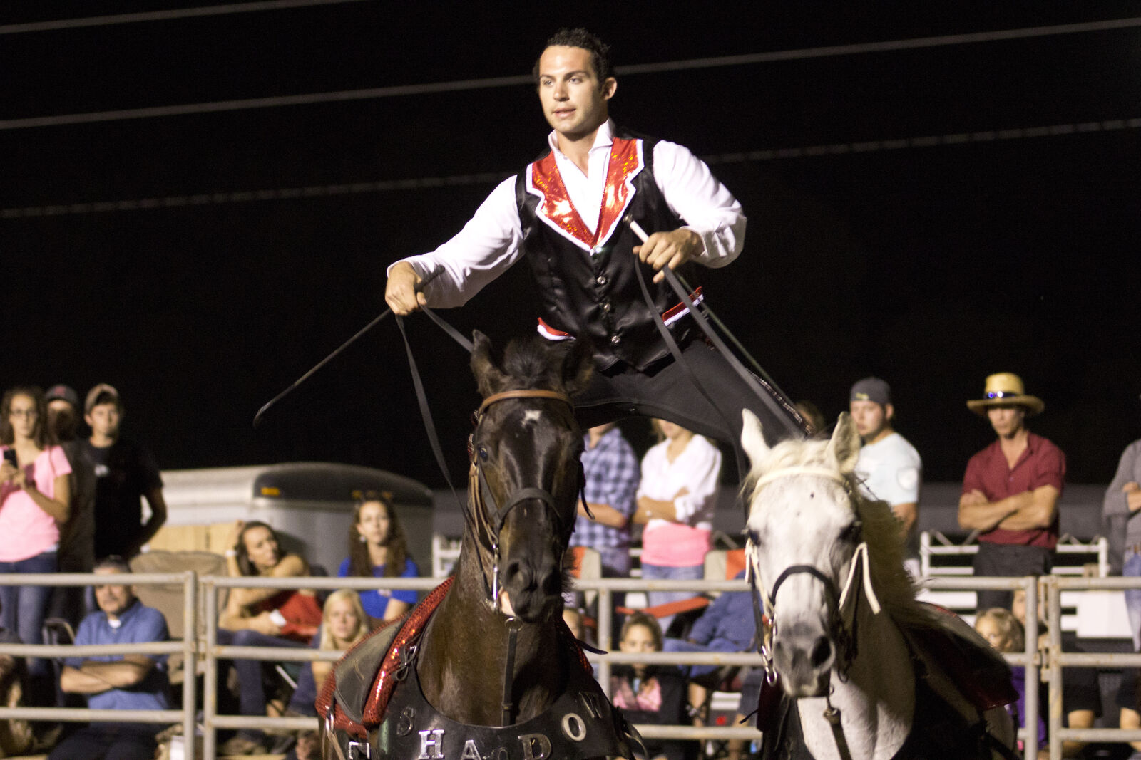 Canon EOS 600D (Rebel EOS T3i / EOS Kiss X5) sample photo. Equine, horses, natural, lighting photography