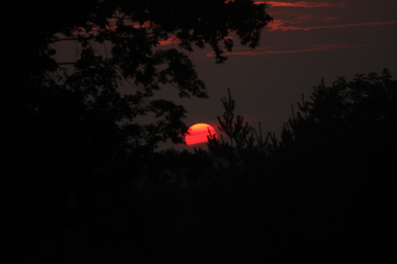 Canon EOS 550D (EOS Rebel T2i / EOS Kiss X4) sample photo. Sunset, summer sunset, dark photography