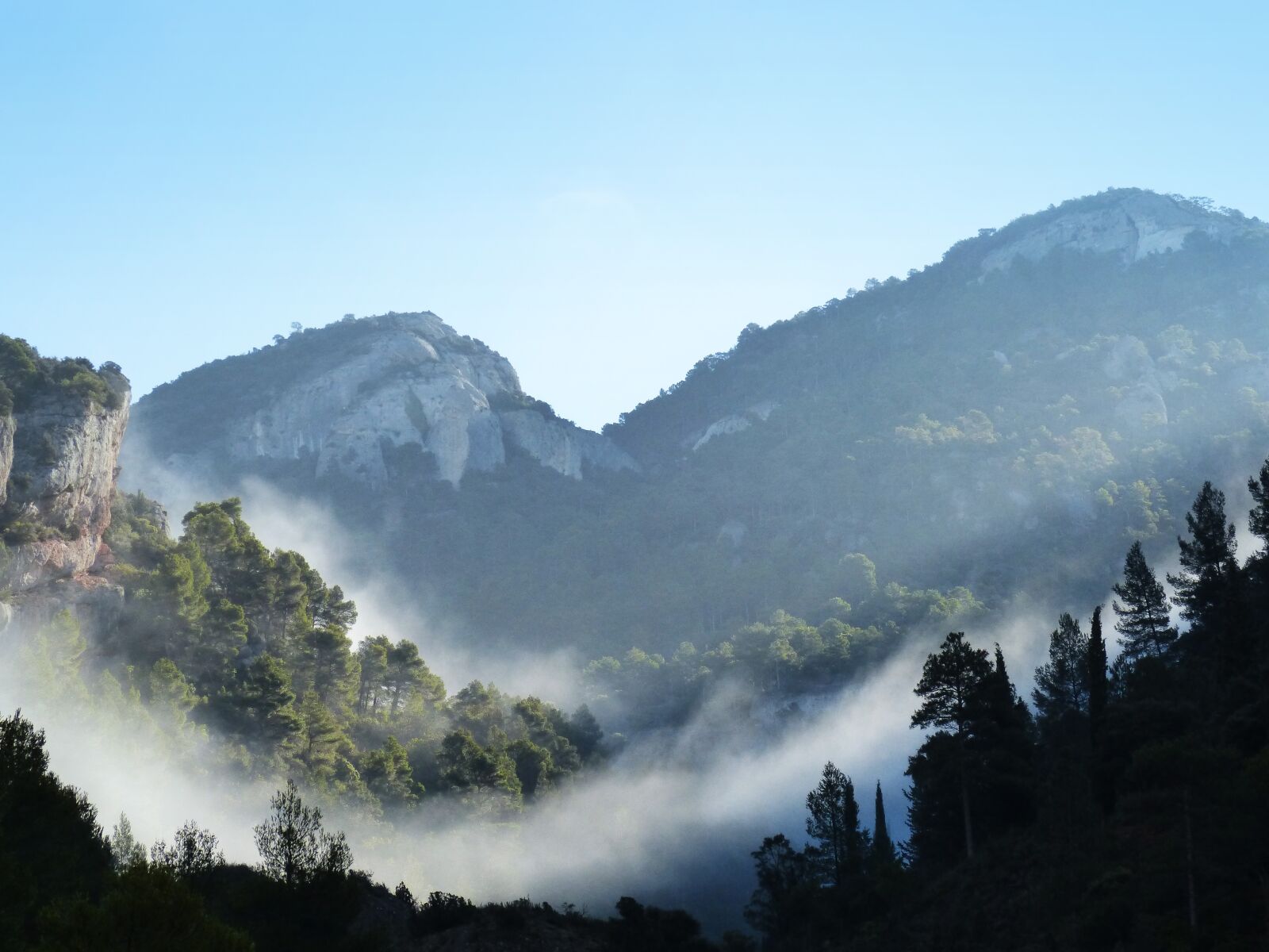 Panasonic DMC-FZ62 sample photo. Fog, mountain, trees photography