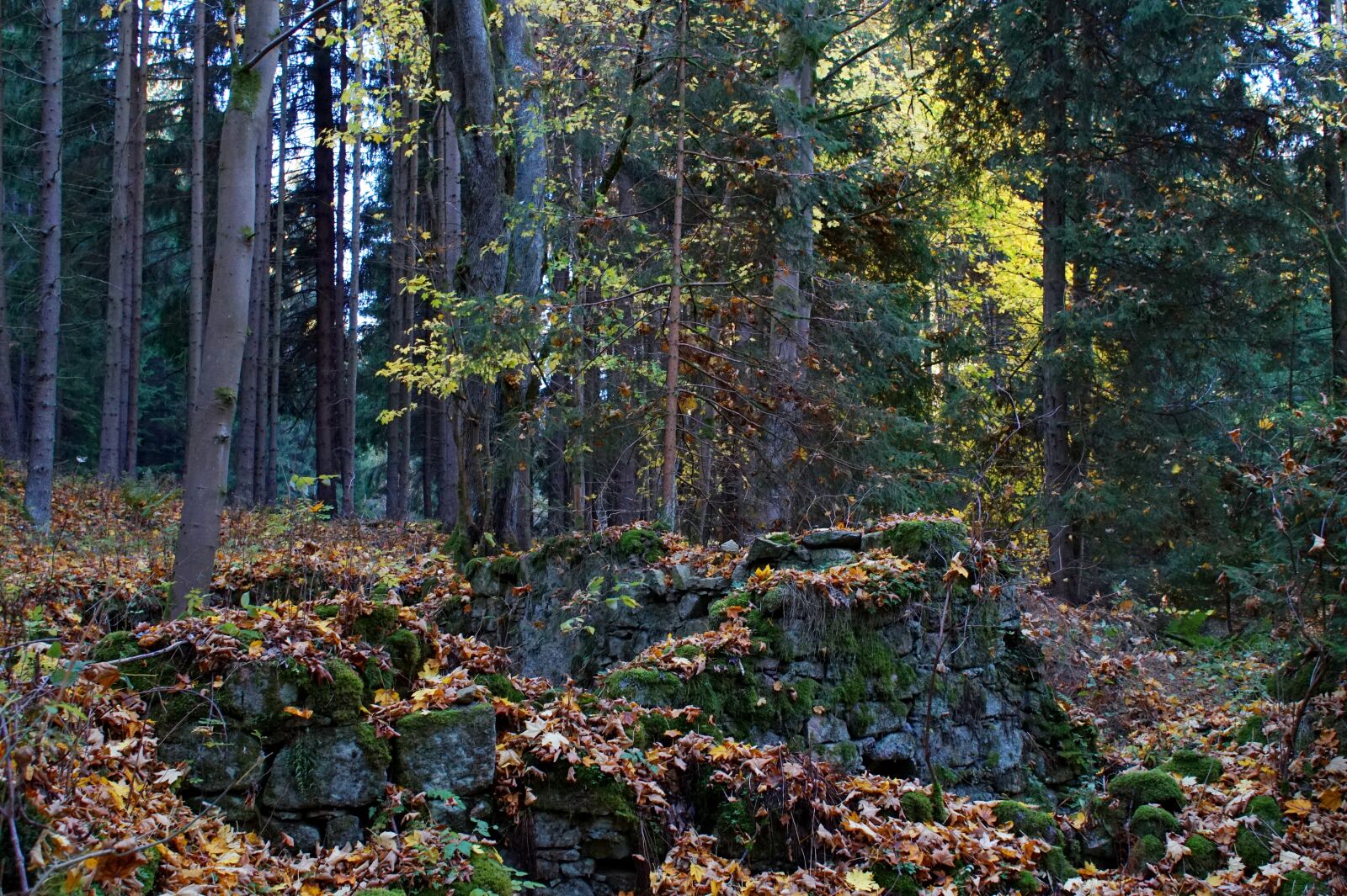 Sony Alpha a5000 (ILCE 5000) sample photo. Ruin, stone, forest photography