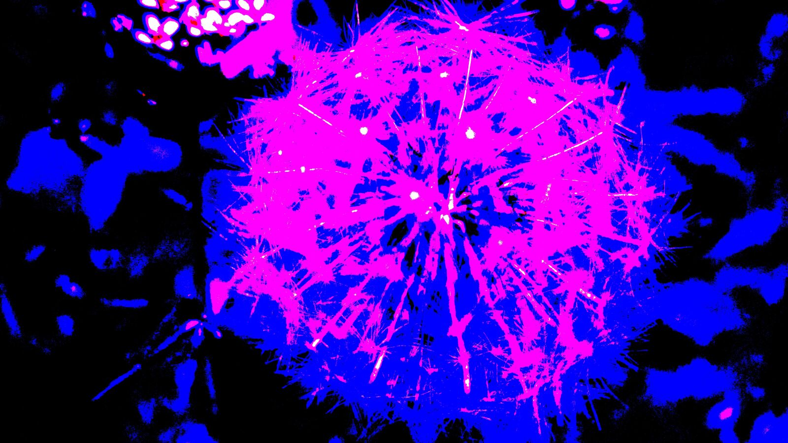 Canon PowerShot A810 sample photo. Magic, flower, mystic photography