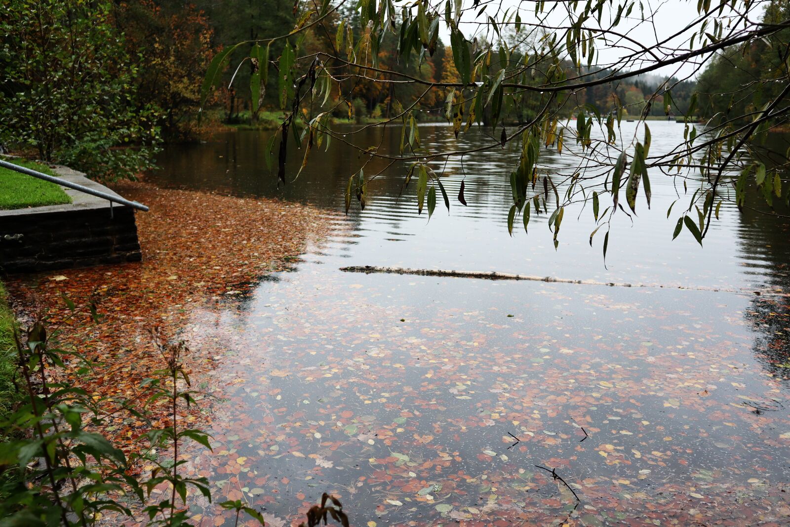 Canon EF-M 15-45mm F3.5-6.3 IS STM sample photo. Autumn, water, lake photography