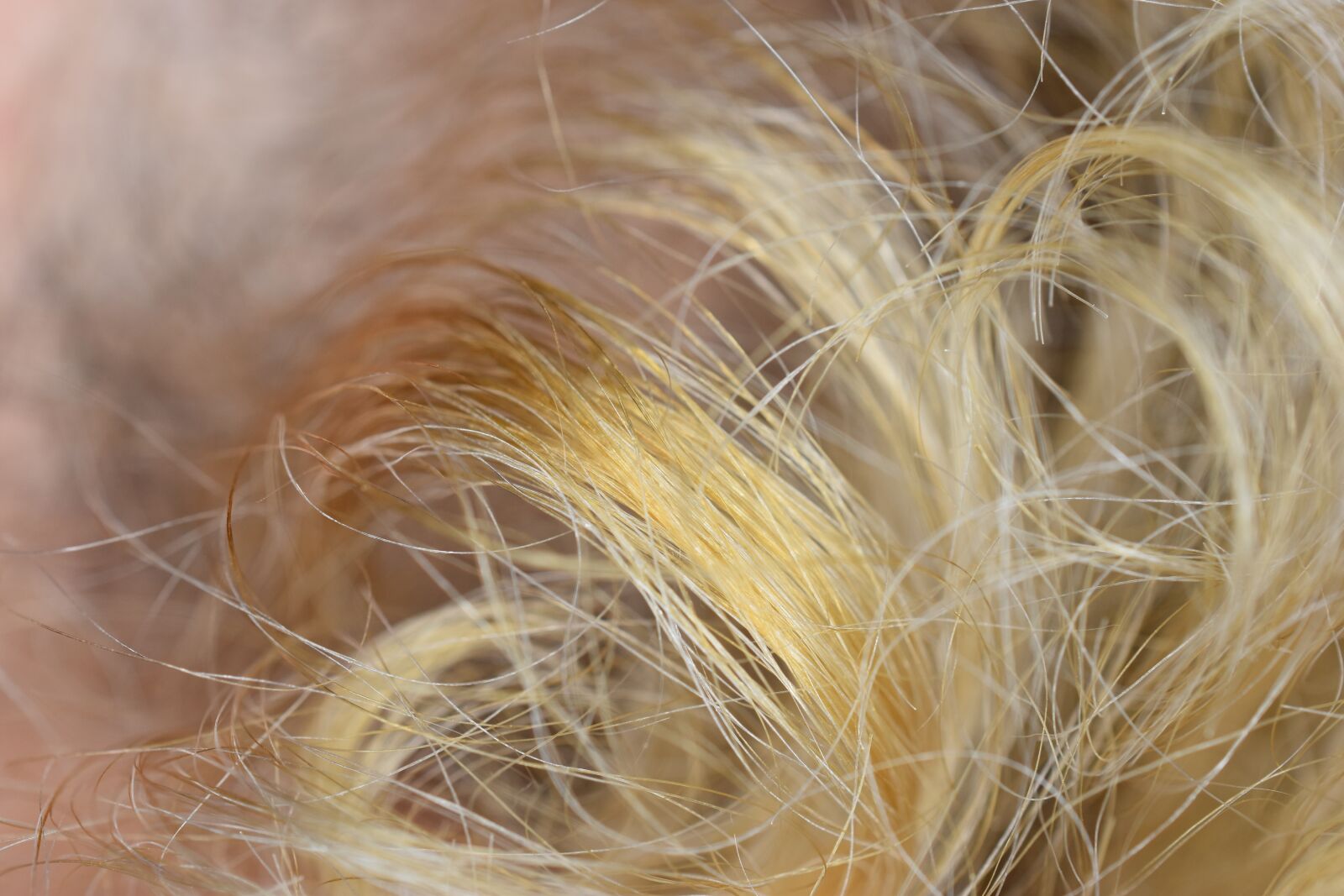 Nikon D5600 sample photo. Hair, blonde, woman photography
